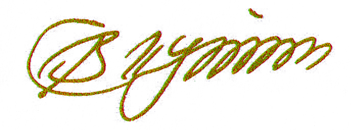 В. В. Путин